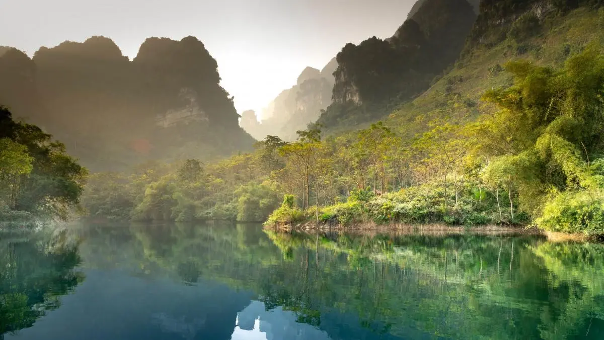 可靠性可靠性数字化